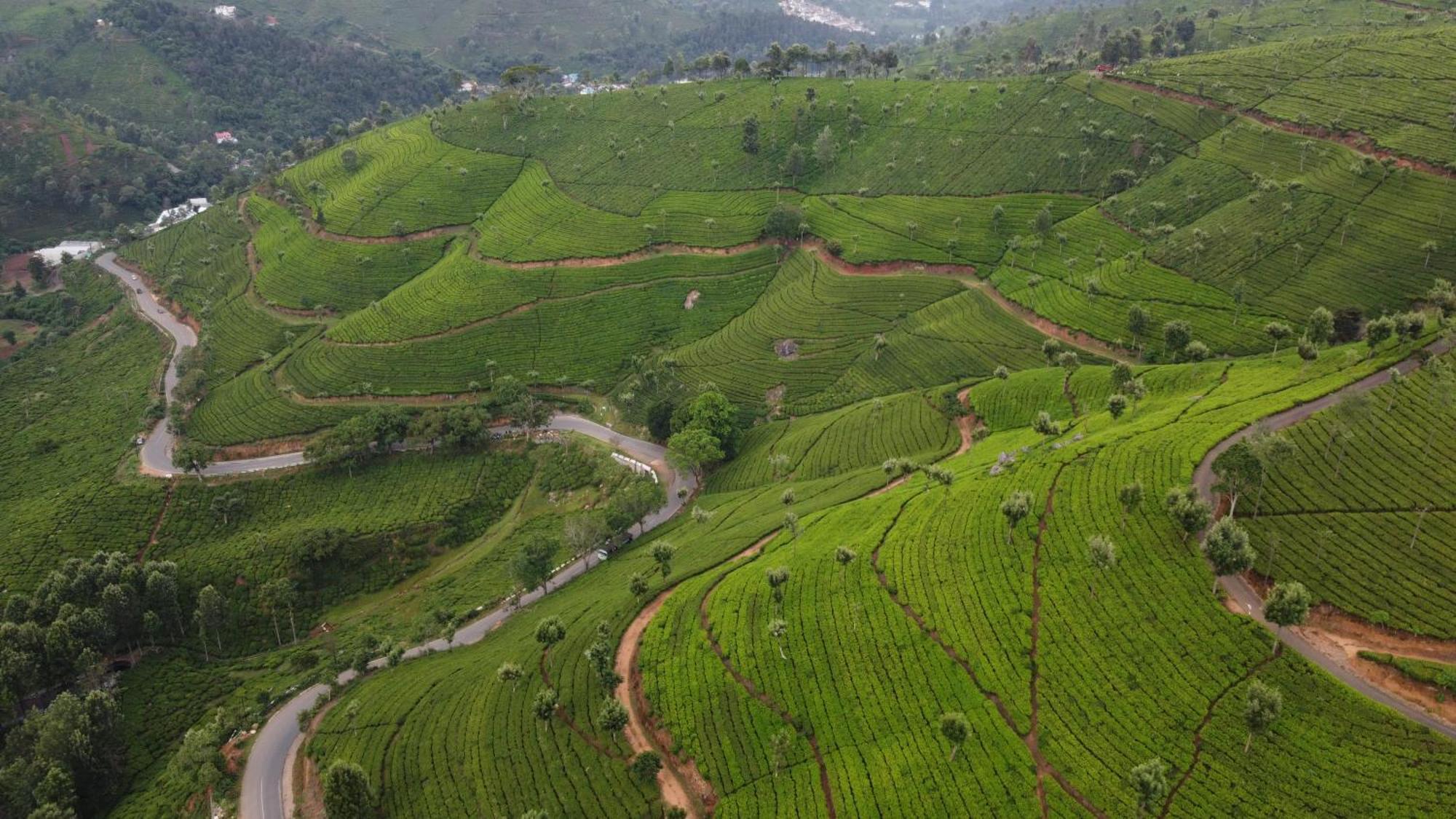 Casa De Selas Coonoor Bagian luar foto